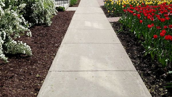 Cement Sidewalk Installation in San Clemente