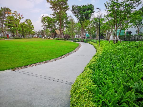 Cement Walkway Service in San Clemente
