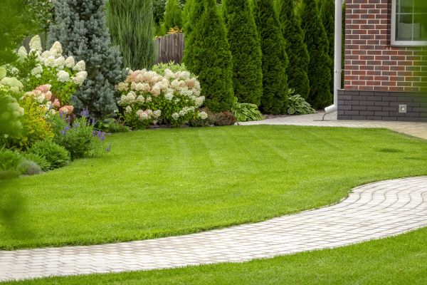 Cost of Landscape Walkway Installation in San Clemente